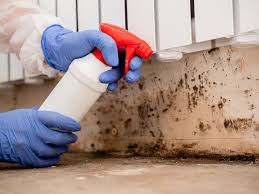 Mold Removal for HVAC Installations in Murphy, NC